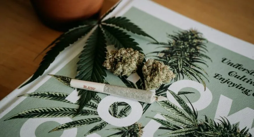 cannabis pre rolls laying on top of magazine on table