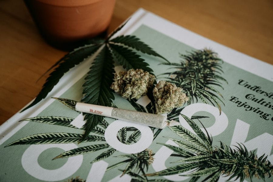 cannabis pre rolls laying on top of magazine on table